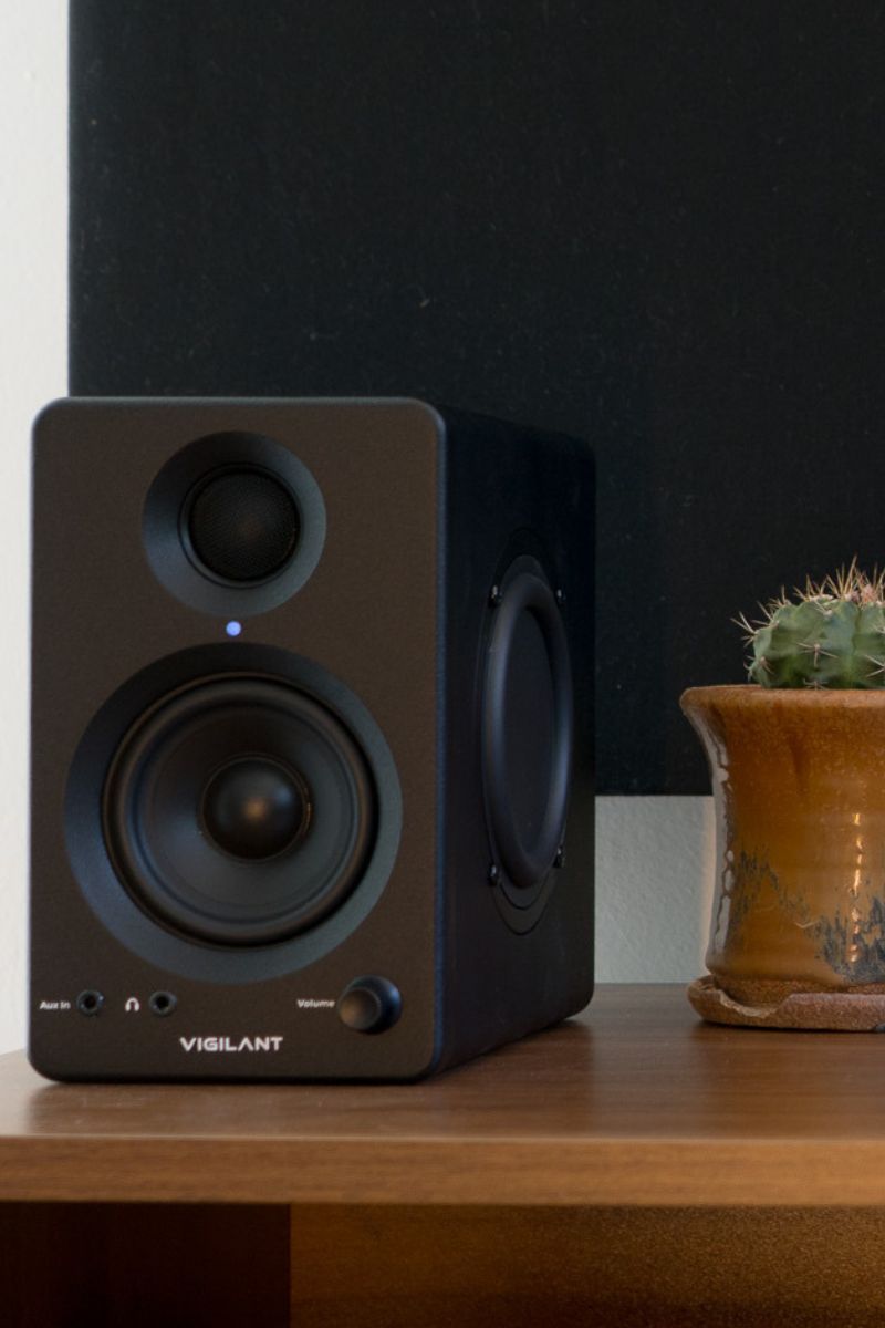 SwitchOne Speaker on a bookshelf with cactus